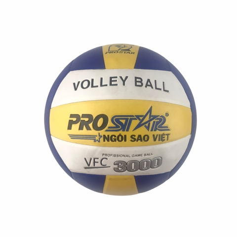 Bóng chuyền Winer-3000