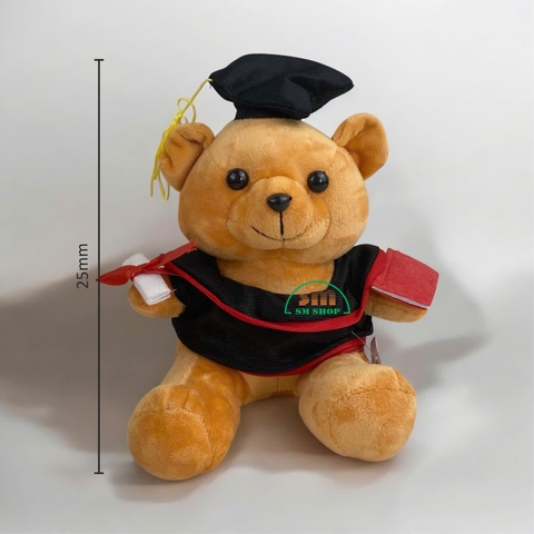 Gấu cử nhân 6781452 25cm