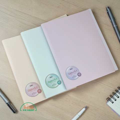 Bìa 30 lá nhựa Deli F912 (12/72)