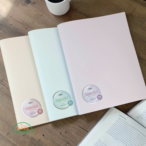 Bìa 40 lá nhựa Deli F913 (12/48)