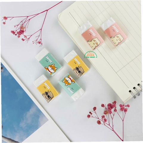 Gôm TL E06 (30/1200)