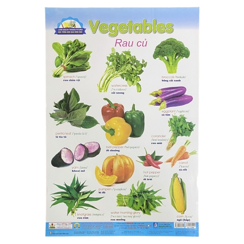 Học Tiếng Anh qua hình ảnh - Rau củ