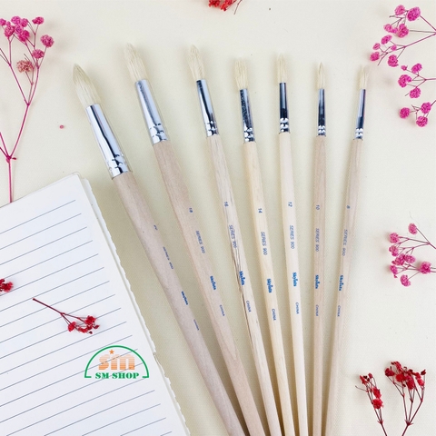 Cọ vẽ Skyists đầu tròn 900