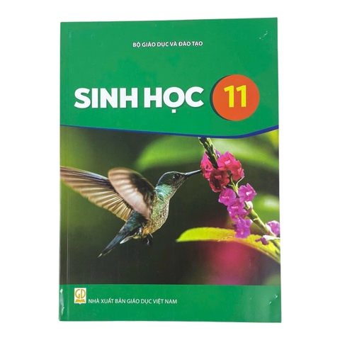 Sách Sinh Học Lớp 11 - Kết nối tri thức với cuộc sống, Sách bài học, Sách giáo khoa