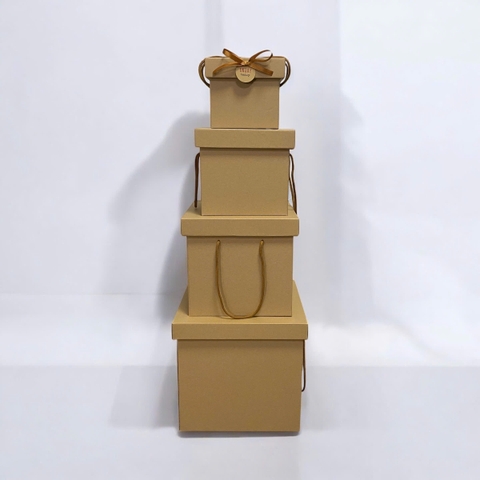 Hộp xếp quai kraft LL vuông