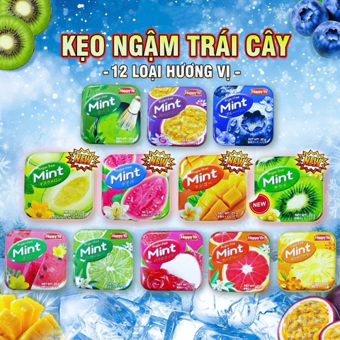 Kẹo trái cây không đường Happy Yo (12)