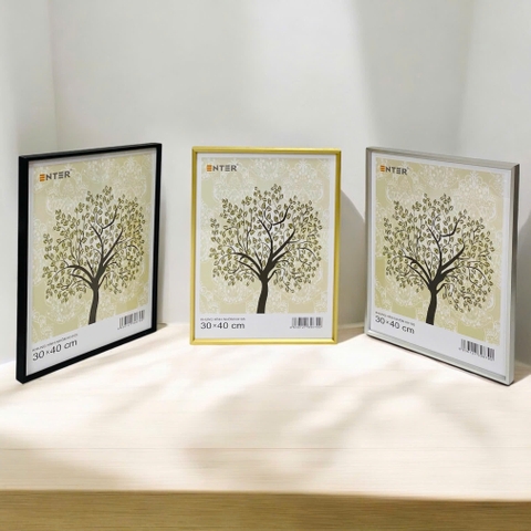 Khung hình nhôm Enter KH105 30x42cm