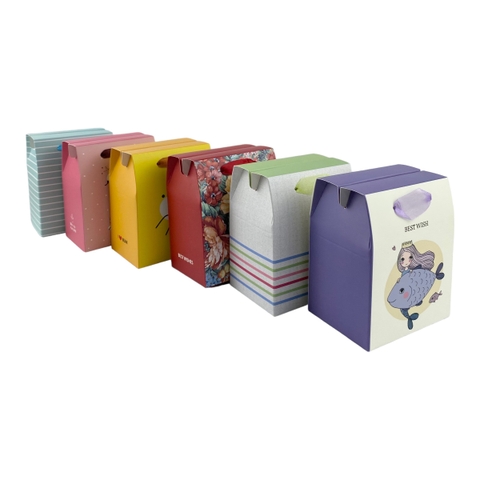 Túi hộp LL THN2 9.5x12x7cm chữ nhật