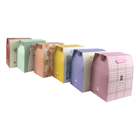 Túi hộp LL THN4 14x17.5x10.5cm chữ nhật