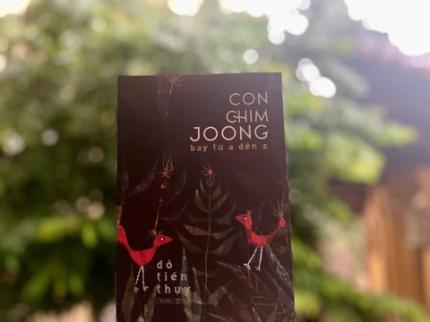 Combo Đỗ Tiến Thụy