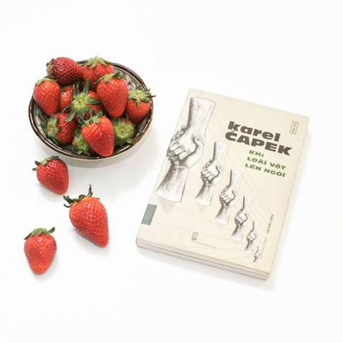 Khi Loài Vật Lên Ngôi (2025)