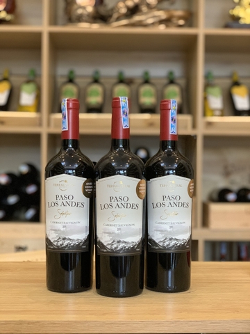 Rượu vang Paso Los Andes Cabernet Sauvignon