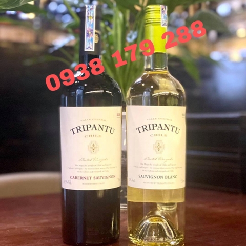 Rượu vang Tripantu Cabernet Sauvignon.