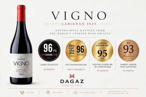 Vang Chile Cao cấp Vigno Carignan 2023.