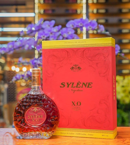 Rượu ngoại SYLENE XO