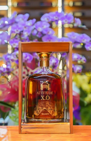 Rượu ngoại ATTIDUDE XO