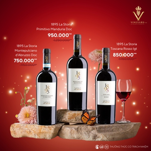 Rượu vang 1895 Montepulciano D'Abruzzo DOC