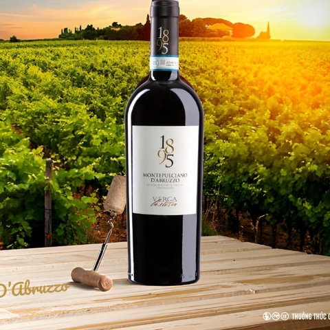 Rượu vang 1895 Montepulciano D'Abruzzo DOC