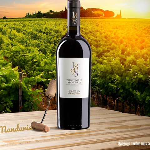 Rượu vang 1895 Montepulciano D'Abruzzo DOC