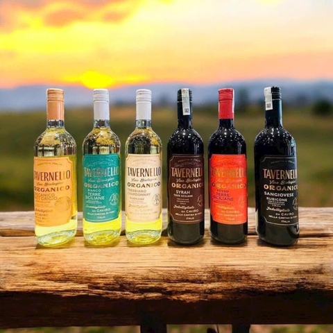 Rượu vang Tavernello Organico