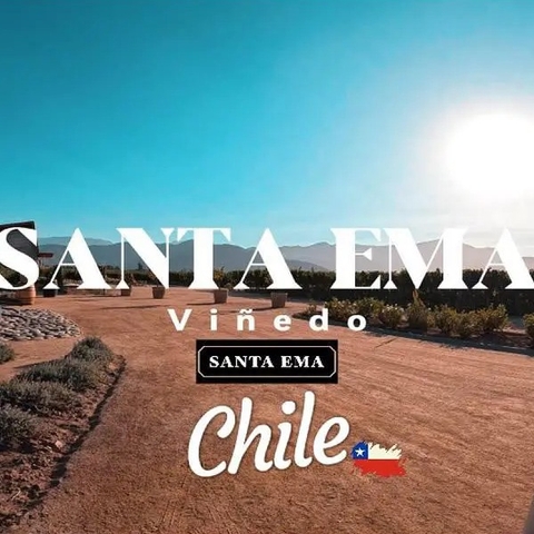 Rượu vang RUTA 5 SANTA EMA