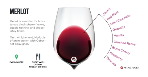 Rượu vang Merlot
