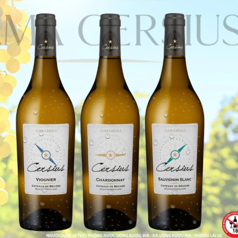 Rượu vang trắng Alma Cersius