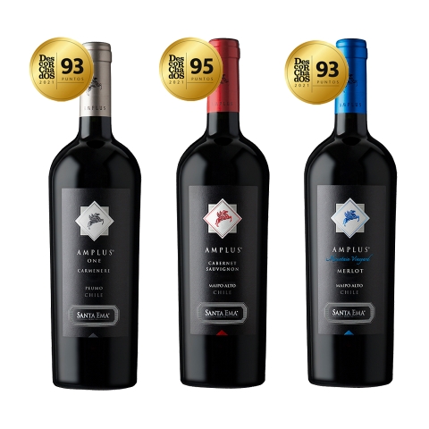Mua 2 tặng 1: rượu vang Chile Amplus Santa Ema.
