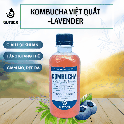 Việt Quất & Lavender 250 ml - Blueberry & Lavender Kombucha