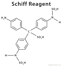 THUỐC THỬ SCHIFF LÀ GÌ? CÔNG DỤNG VÀ CÁCH ĐIỀU CHẾ?