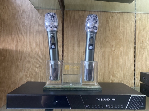 Micro TH Sound M6