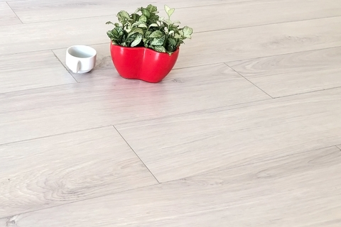 Sàn gỗ ACACIA 8mm A2733