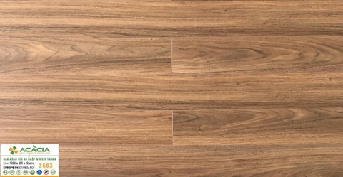 Sàn gỗ Acacia 3683 12mm