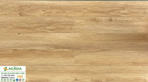 Sàn gỗ Acacia 3685 12mm