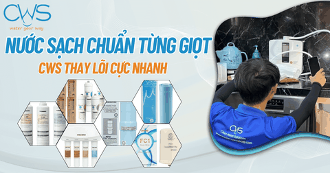 Kiểm Tra Và Thay Lõi Lọc Nước Nhanh Chóng Với CWS