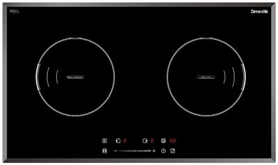 Bếp từ Dmestik ES555 DKI