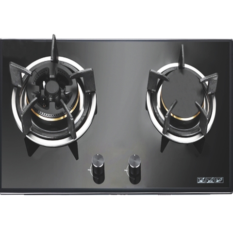 Bếp gas Faster FS 261S
