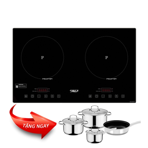 Bếp từ CHEFS EH-DIH321