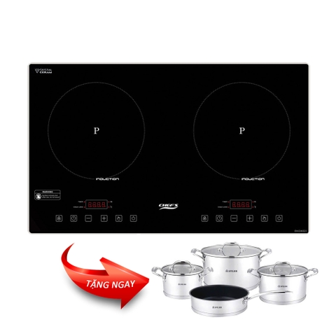 Bếp từ CHEFS EH-DIH321