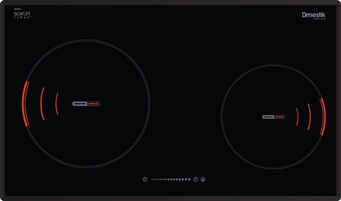 Bếp từ Dmestik ES742 DKI