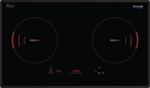 Bếp từ Dmestik ES721 DKI