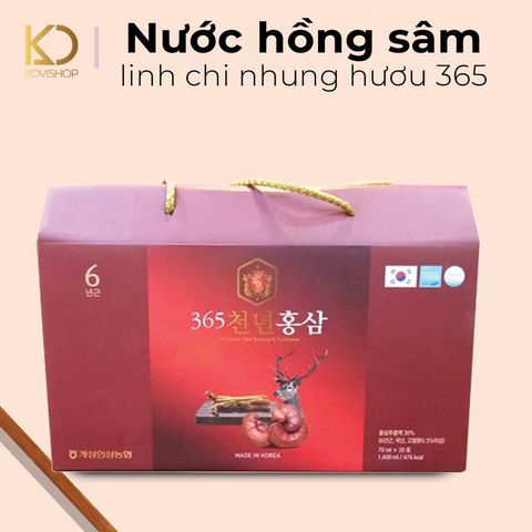 NƯỚC HỒNG SÂM LINH CHI NHUNG HƯƠU 365
