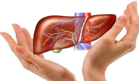 Các dấu hiệu nhận biết bệnh gan. 5 báo động đỏ chứng tỏ gan có độc tố