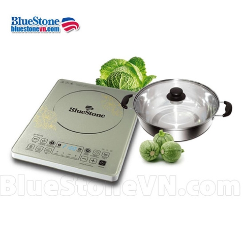 Bếp từ Bluestone ICB-6688