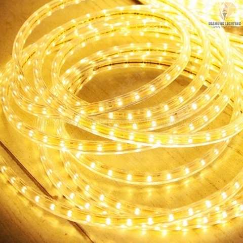 ĐÈN LED DÂY 1 MẮT & 2 MẮT LED110