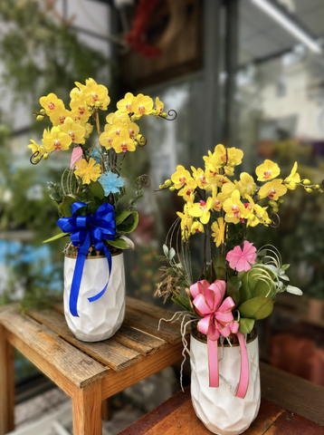 CHẬU HỒ ĐIỆP 5 CÀNH VÀNG MAI
