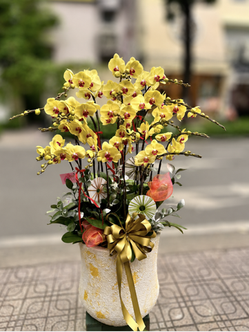 CHẬU HỒ ĐIỆP 17 CÀNH VÀNG MAI