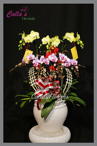 Hoa Tết-TT-005-Mini-W