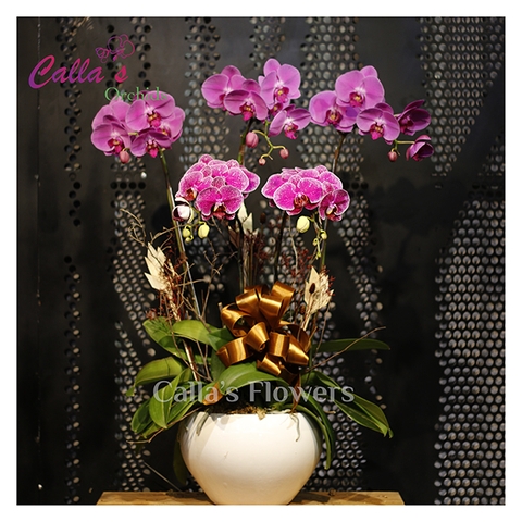 Hoa sinh nhật-TT-005-Mix