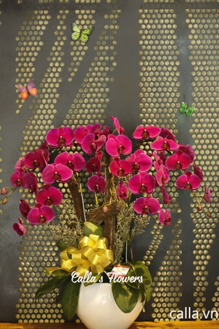 Hoa sinh nhật - TT-005-Ti